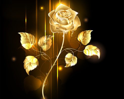 yellow-rose